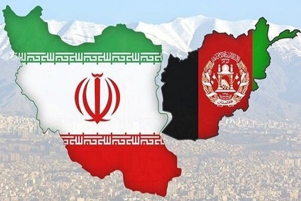 انتشار ویژهنامه «در سایه صد سالگی درخت دوستی»